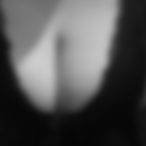 rencontre-Cougar-Le Havre